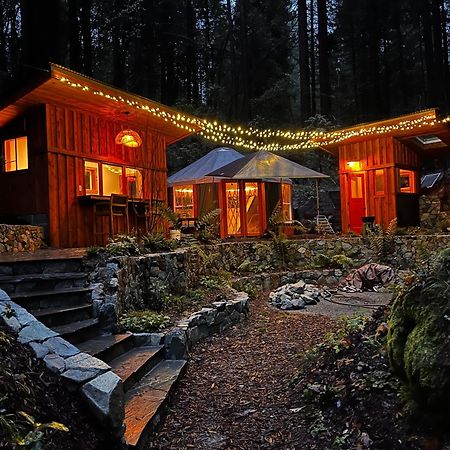 Magical Yurt In The Woods - 2 Miles From Town Otel Nevada City Dış mekan fotoğraf