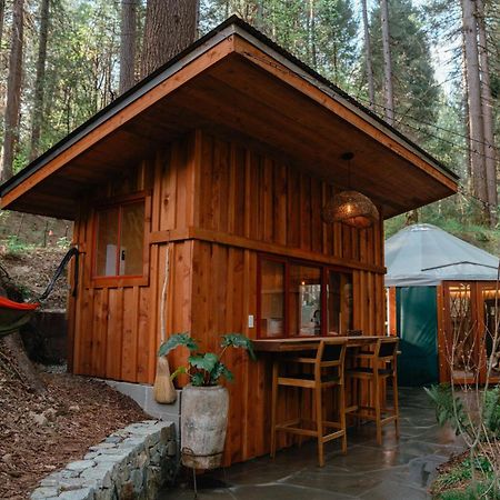 Magical Yurt In The Woods - 2 Miles From Town Otel Nevada City Dış mekan fotoğraf