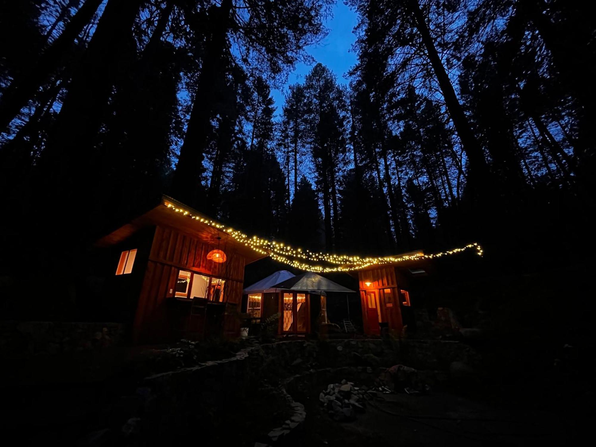 Magical Yurt In The Woods - 2 Miles From Town Otel Nevada City Dış mekan fotoğraf