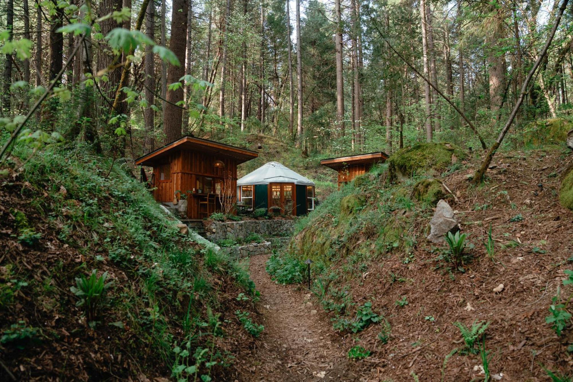 Magical Yurt In The Woods - 2 Miles From Town Otel Nevada City Dış mekan fotoğraf